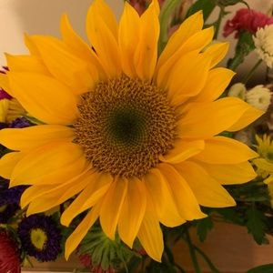 Meet your Posher, Maxine